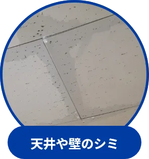 天井や壁のシミ