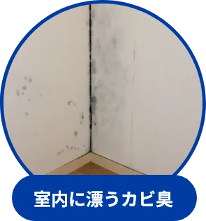 室内に漂うカビ臭
