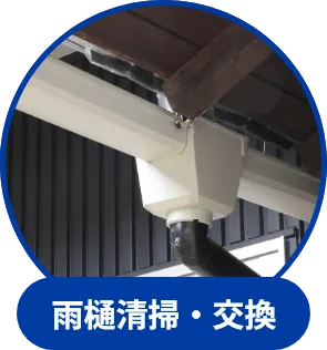 雨樋清掃・交換
