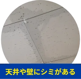 天井や壁にシミがある