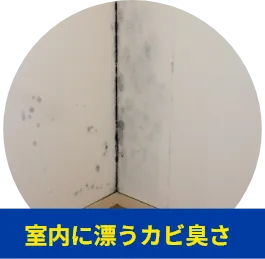 室内に漂うカビ臭さ